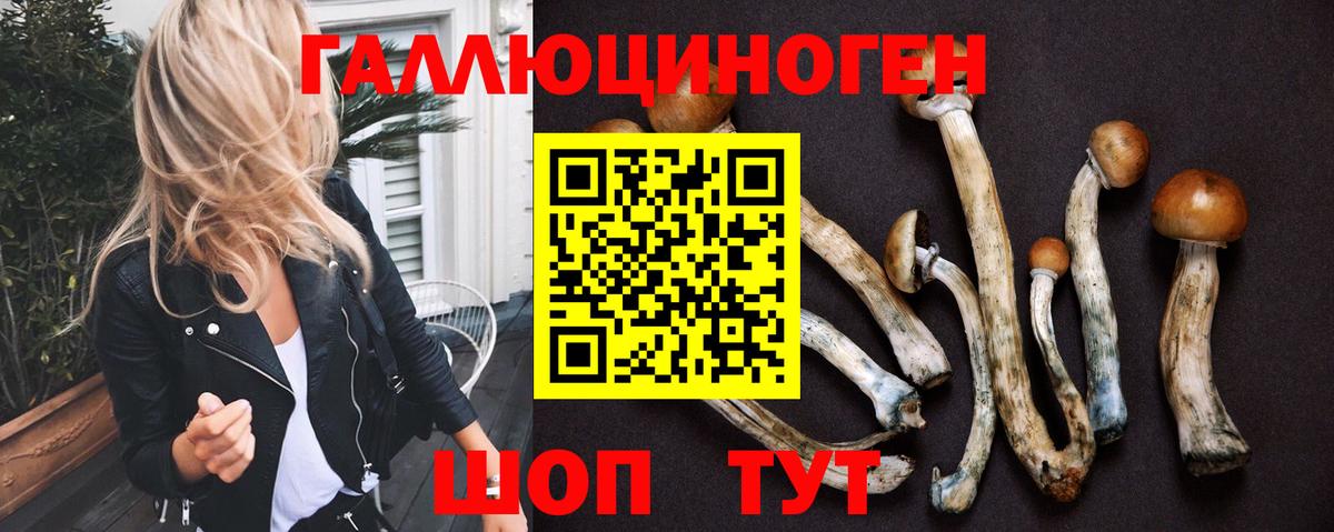 Сунжа  наркошоп  Вход с VPN  Галлюциногенные грибы MAGIC MUSHROOMS 
