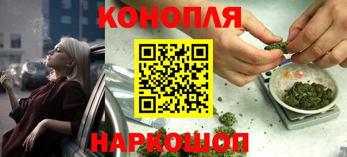 Бошки марихуана гибрид  Вход с VPN  Бошки марихуана AK-47  Сунжа  Канабис гибрид 